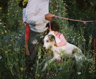 Man with child on his back,  holding a pink dog lead, with a white and brown dog. Another child holds onto the dog.